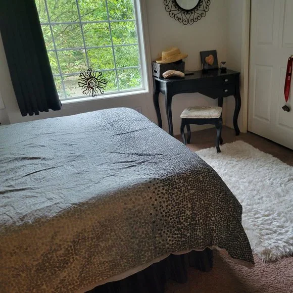 Comforter, shams, and rug - Picture 5 of 6